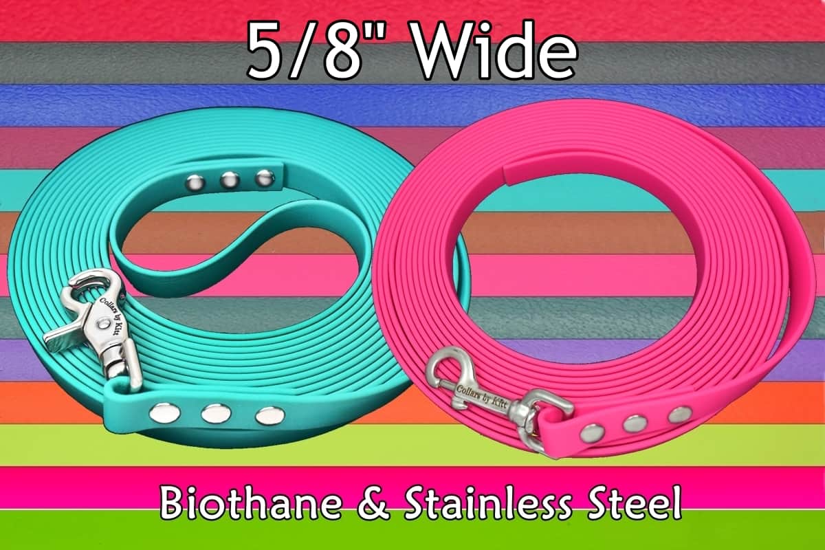 ~ Biothane Multi Color Leash ~ 5/8 wide