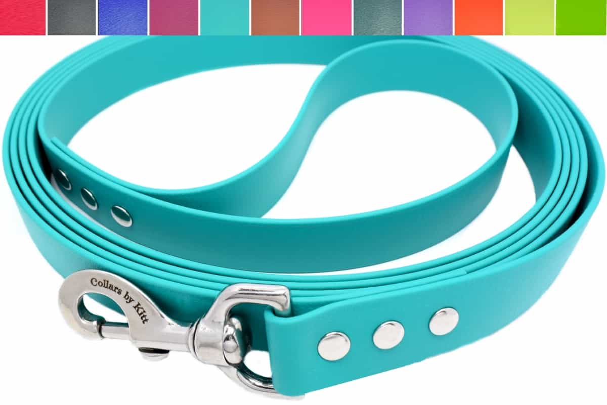 dog leash for strong dogs