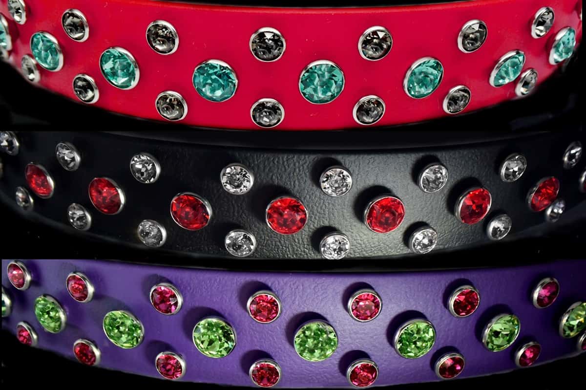 A "Design Your Own" Collar Collars by Kitt