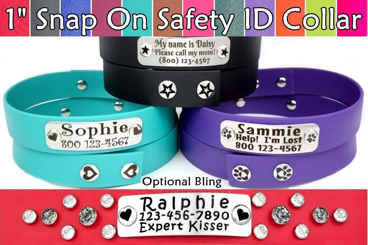 dog collar snaps