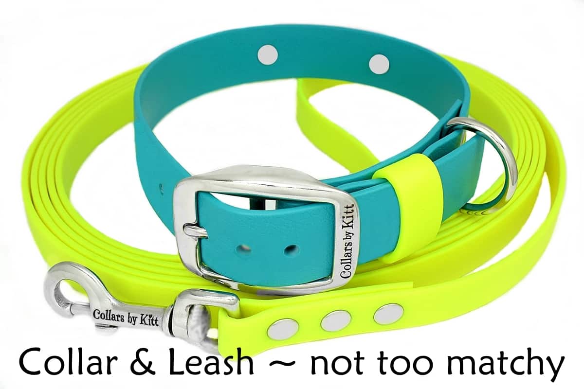 Matching collars best sale