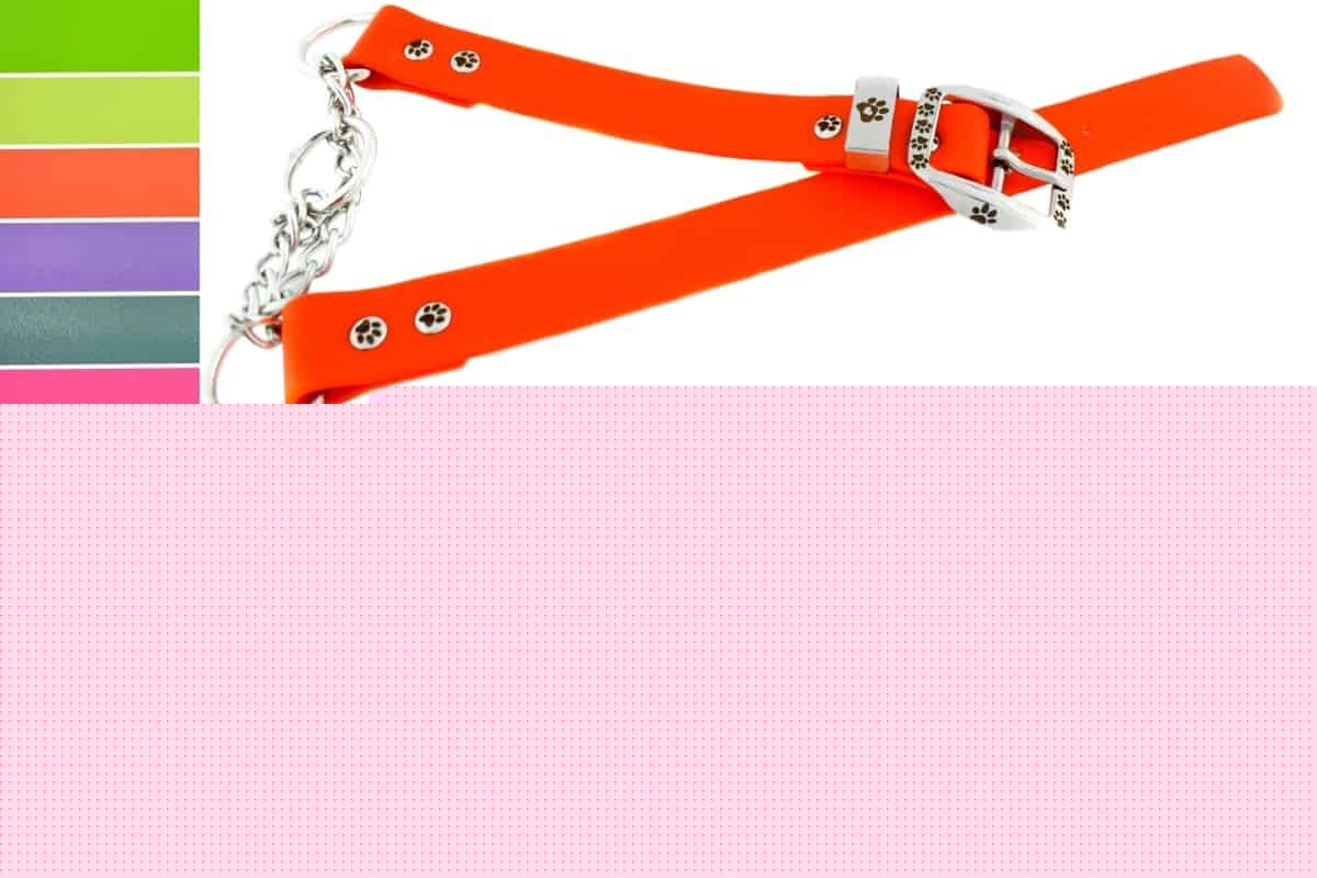 Biothane Martingale Dog Collar