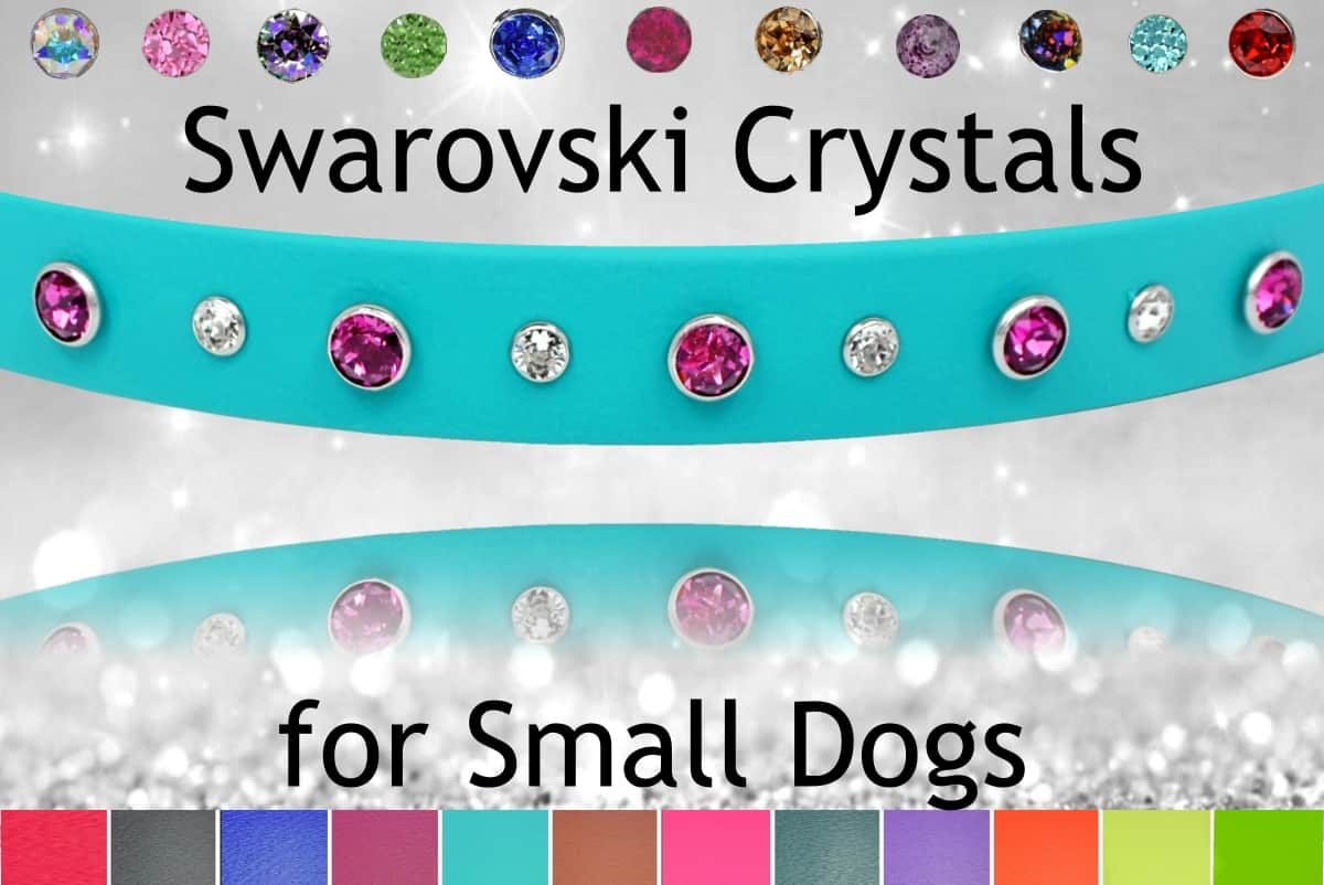 Small Dog Collars