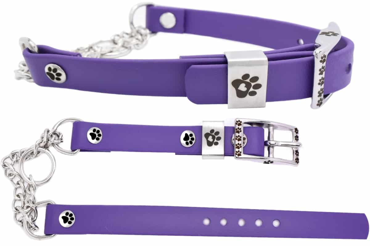 Small Biothane Martingale Collar