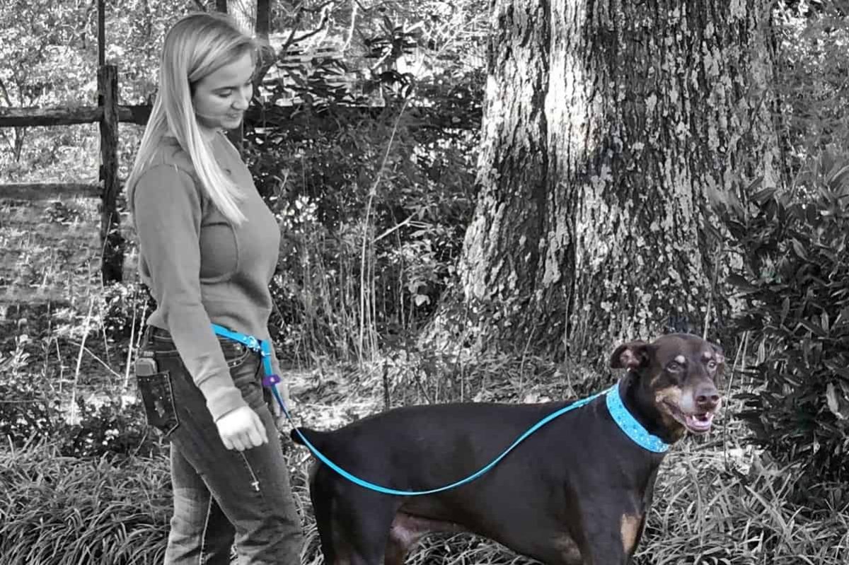 Hands Free Leash