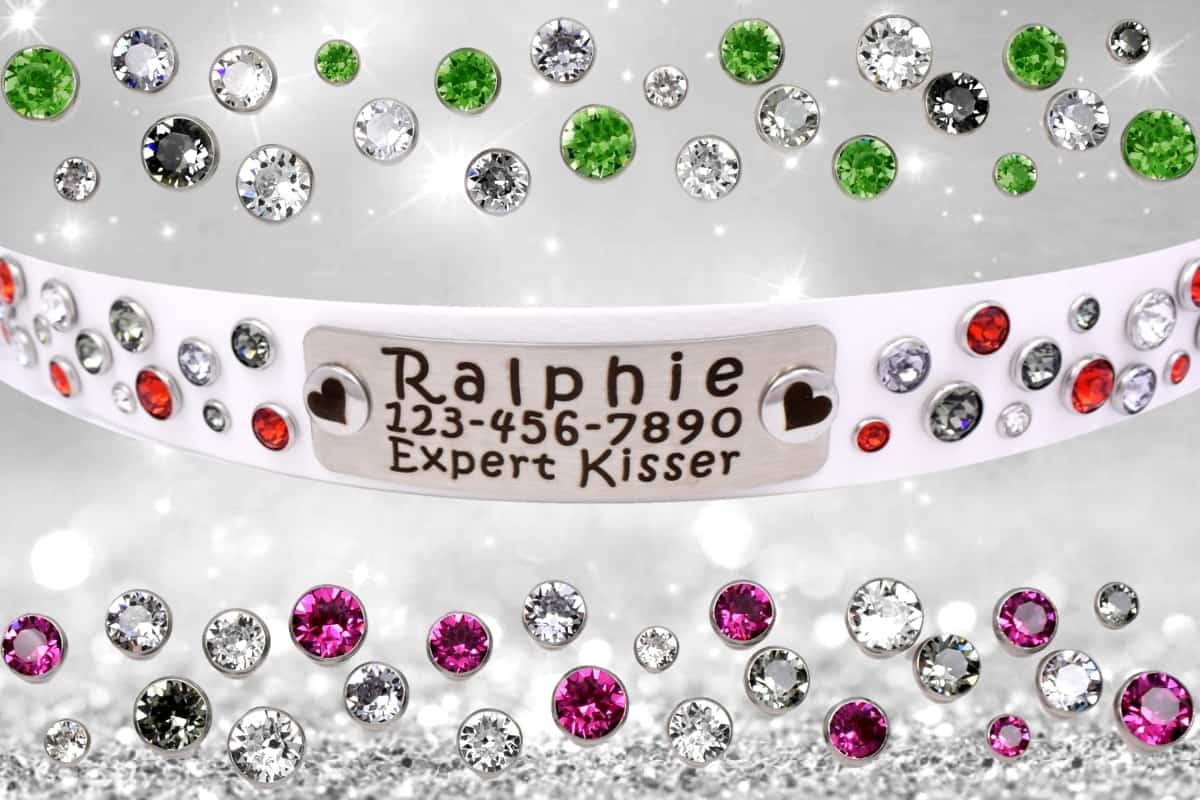 1" Pop Rocks Collar