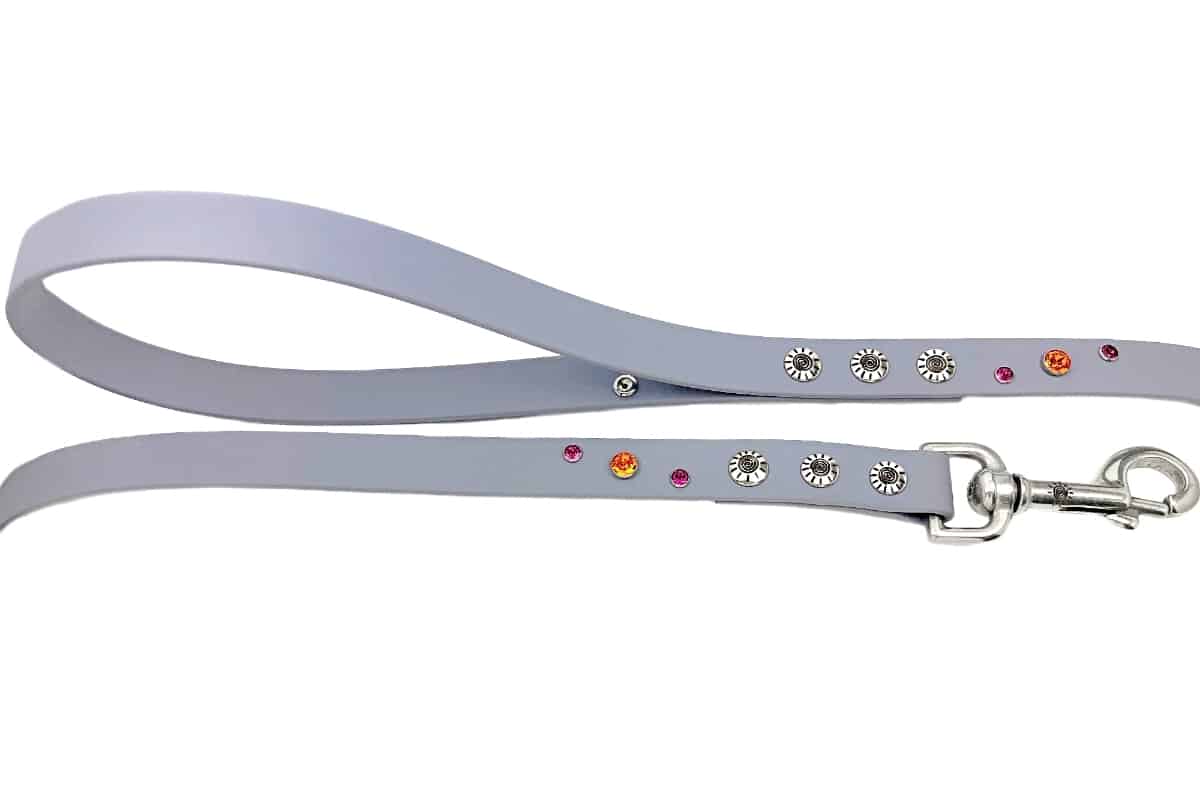 Sunset Blaze leash