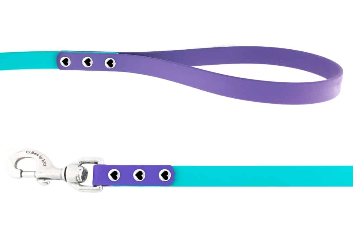 ~ Biothane Multi Color Leash ~ 5/8 wide