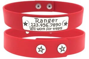 Which Collar is Best snapon