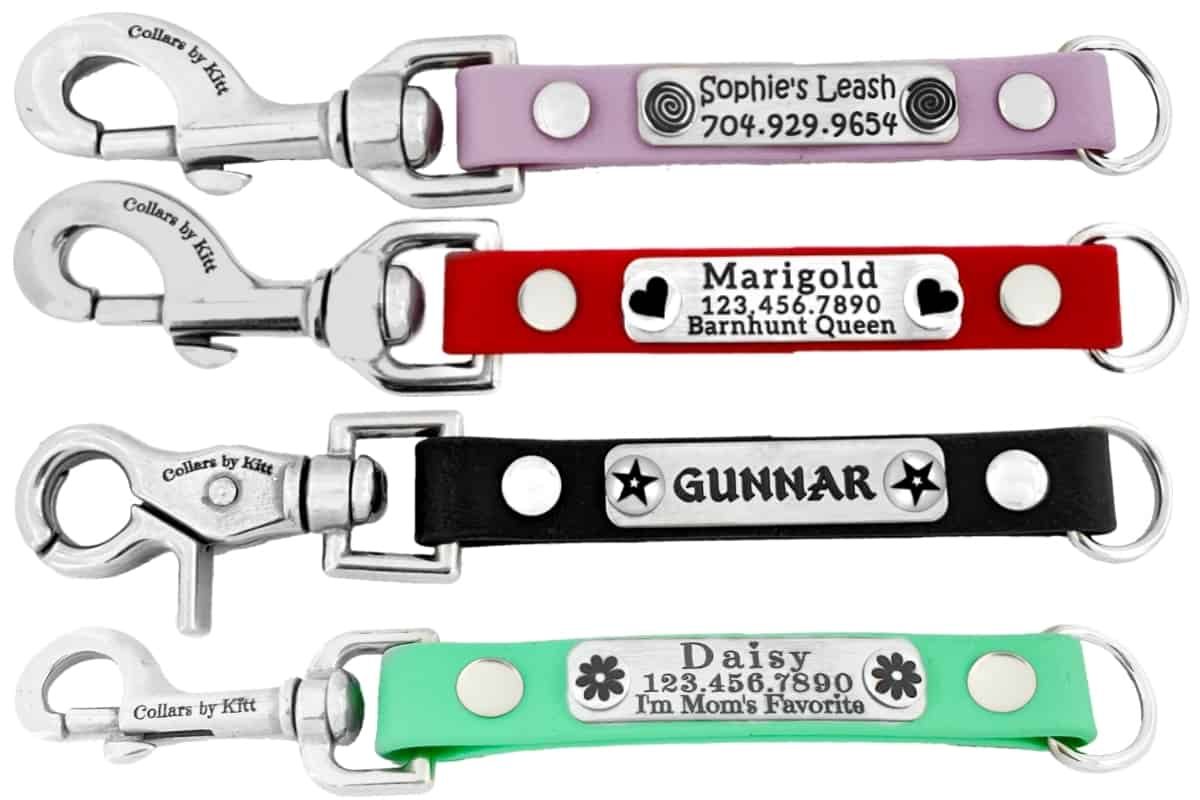 Biothane Training Tab Personalized