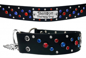 Therapy Dog Martingale