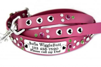 Collar & Leash Design Ideas